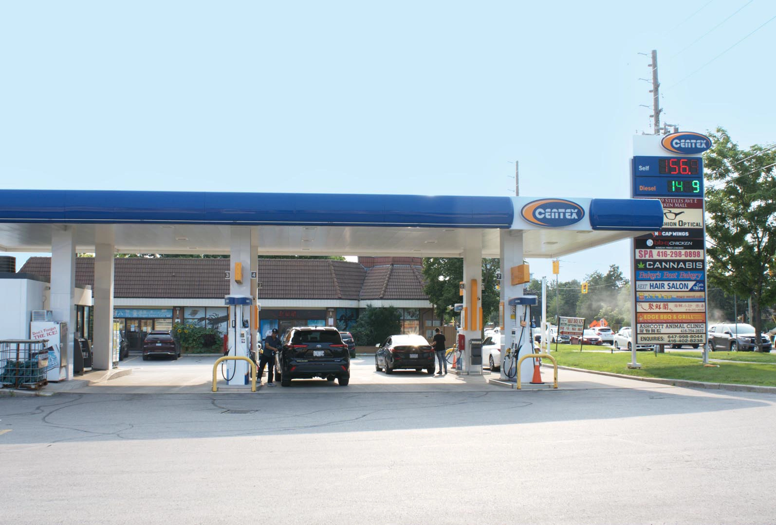 Read more about the article Steeles Ave